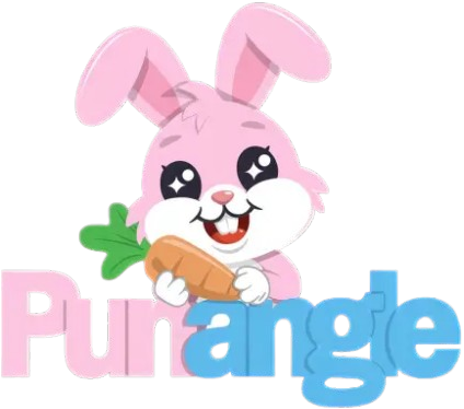 punangle.com