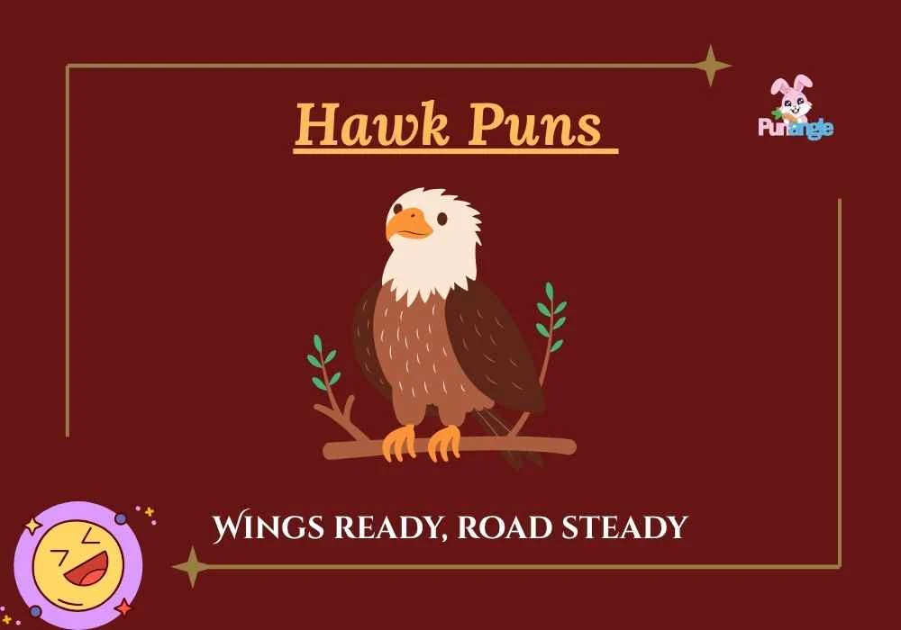 Hawk Puns