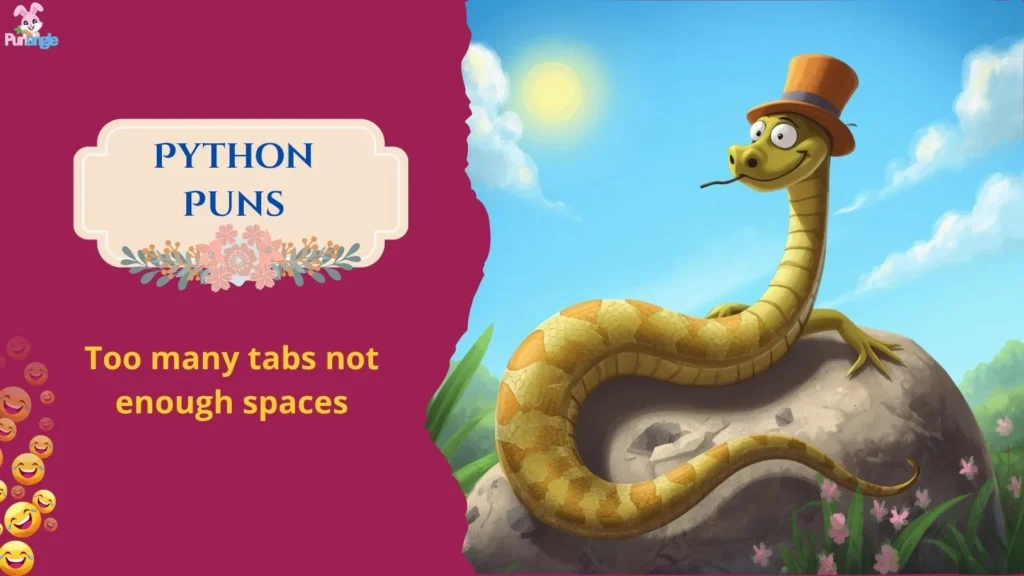 Python Puns