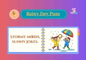 Rainy Day Puns