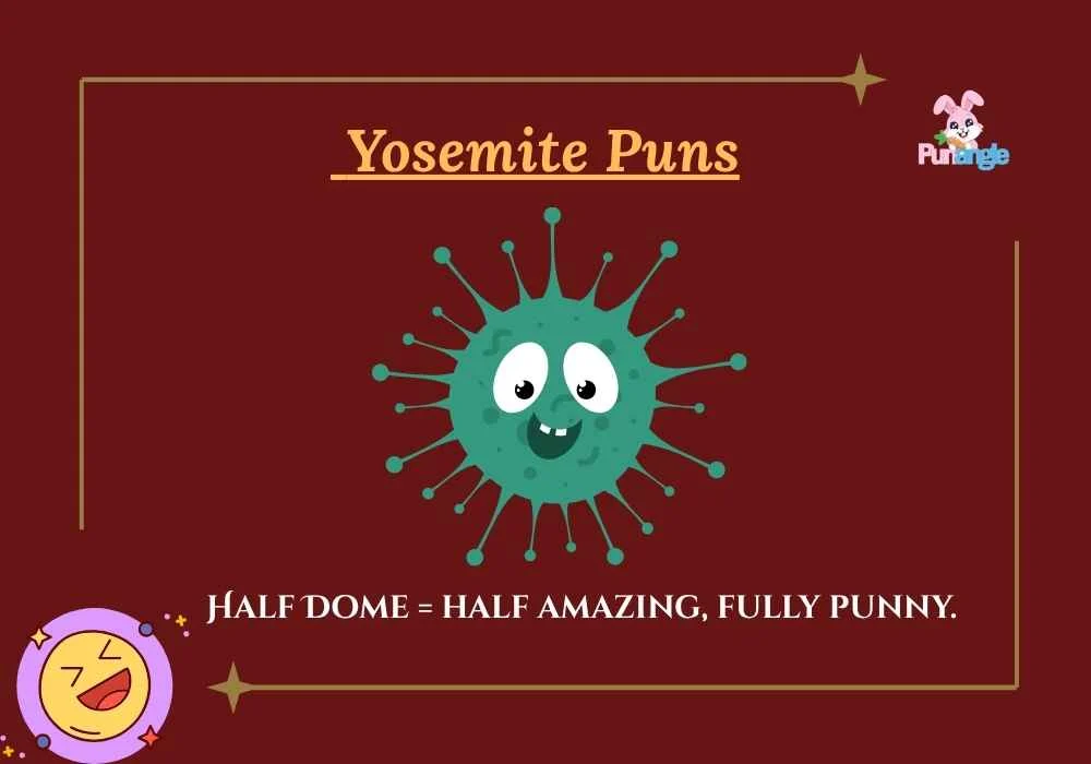 Yosemite Puns