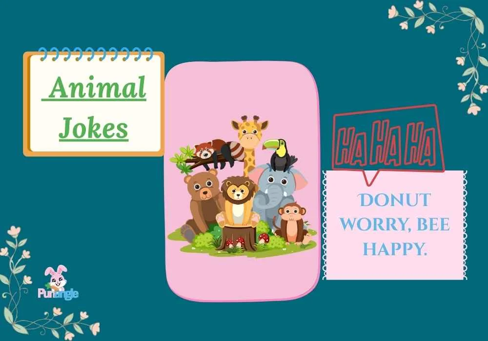 Animal Jokes