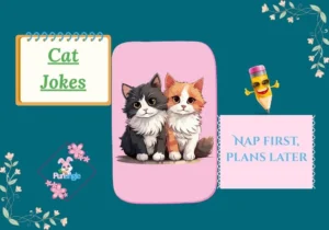 Cat Jokes