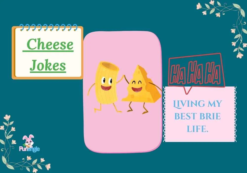 Cheese Jokes