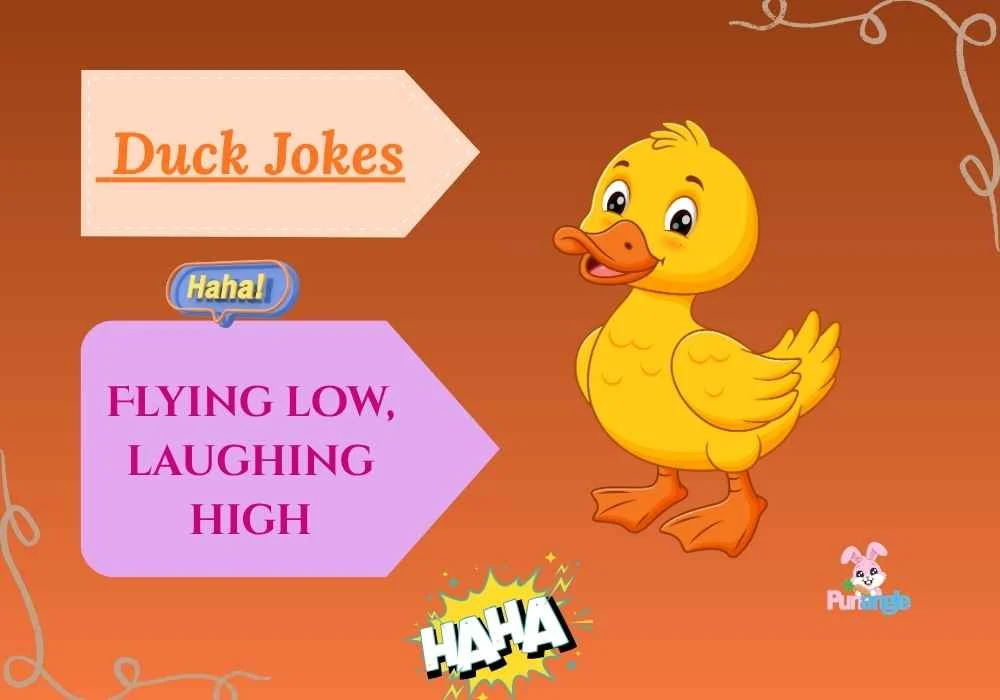 Duck Jokes