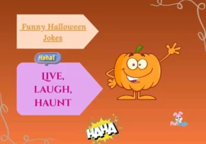 Funny Halloween Jokes