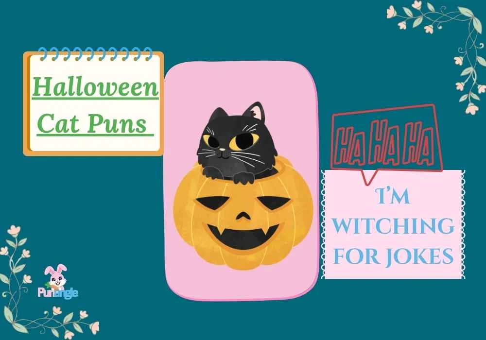 Halloween Cat Puns