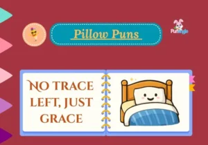 Pillow Puns