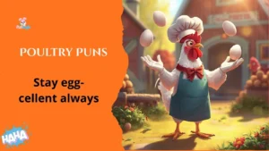Poultry Puns