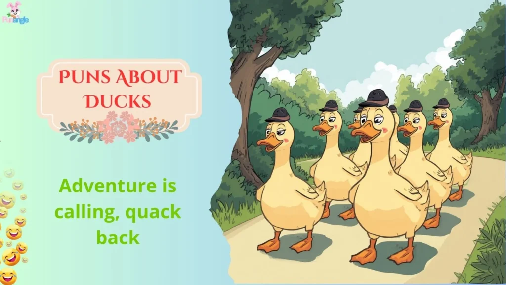 Puns About Ducks