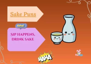 Sake Puns