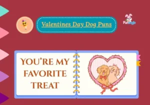 Valentine Day Dog Puns