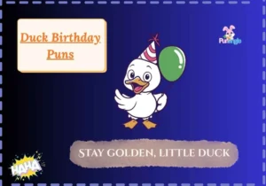 Duck Birthday Puns