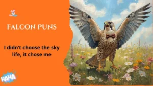 Falcon Puns
