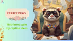 Ferret Puns