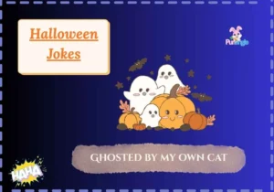 Halloween Jokes