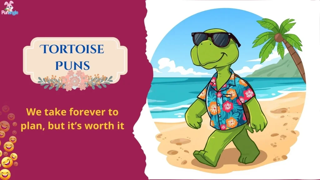 Tortoise Puns